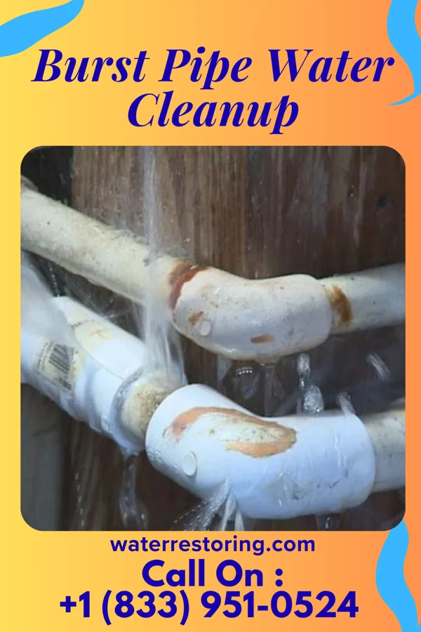 Burst Pipe Water Cleanup in Moville, IA