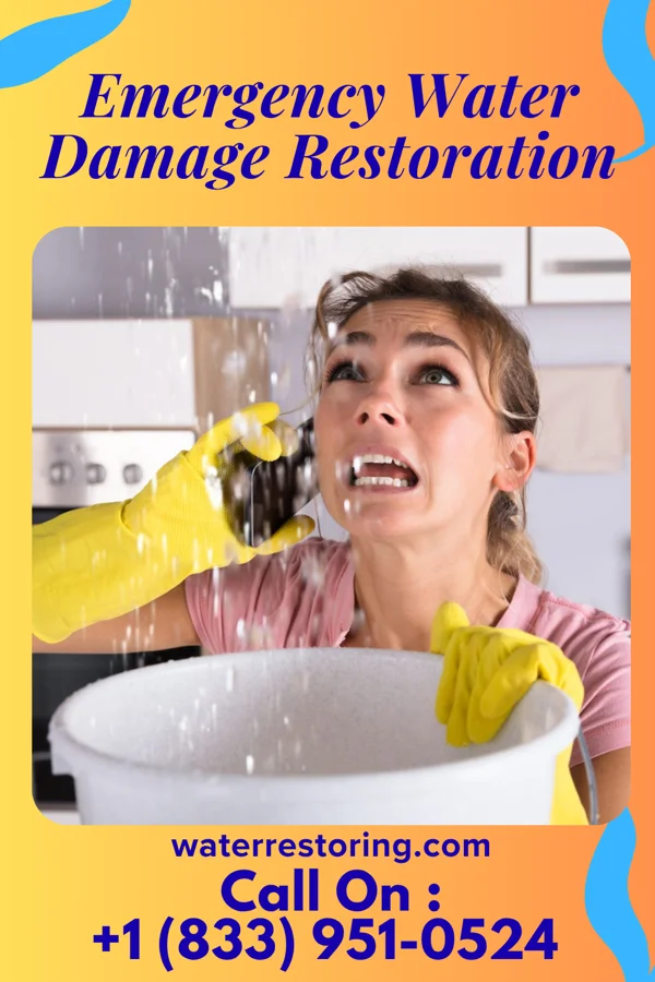 Emergency Water Damage Restoration in Moville, IA