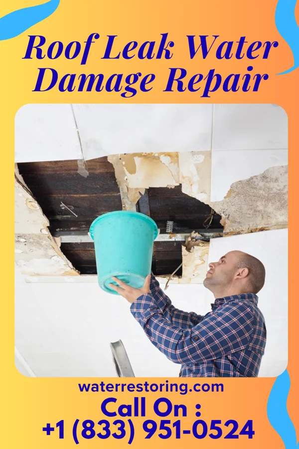 Roof Leak Water Damage Repair in Moville, IA