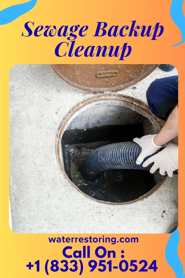 Sewage Backup Cleanup in Moville, IA